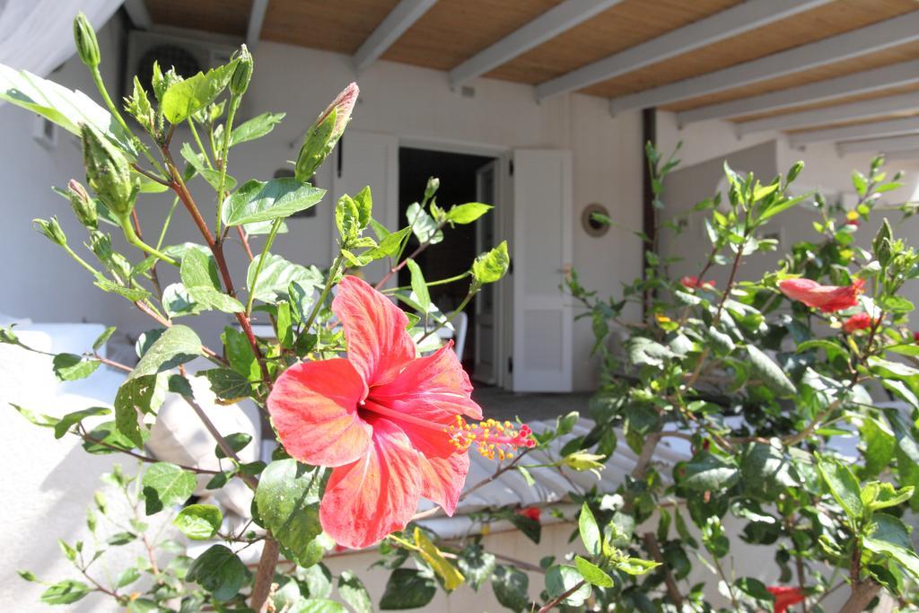 Villa Sea Rose ليباري الغرفة الصورة