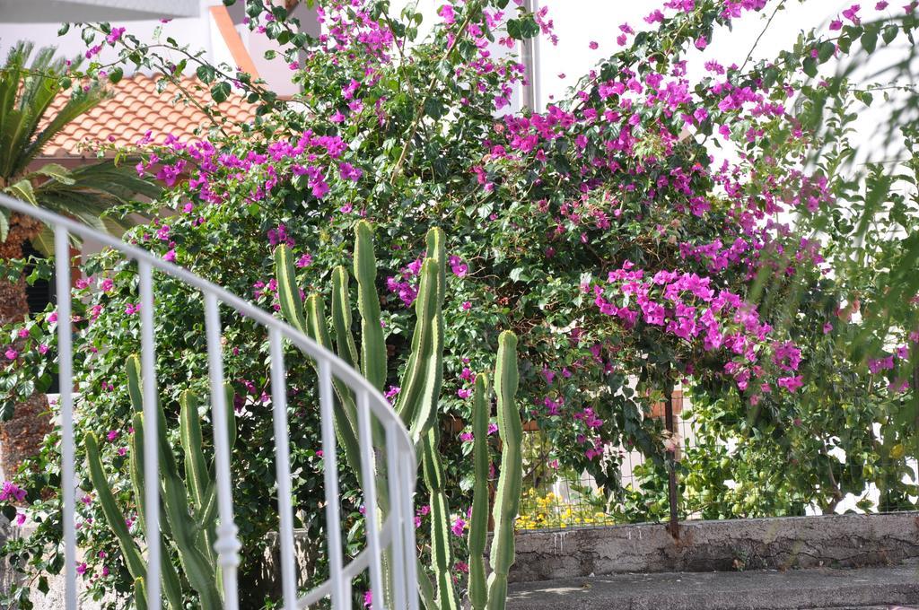 Villa Sea Rose ليباري المظهر الخارجي الصورة